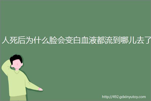 人死后为什么脸会变白血液都流到哪儿去了